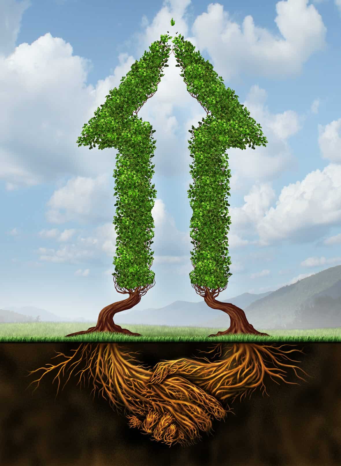 Collaborating for growth as a business agreement and cooperation concept in financial success between a group of partners working together as a concept of two arrow shaped trees with roots in the form of a hand shake.