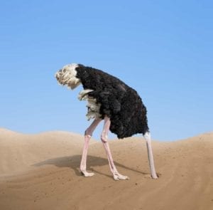 Ostrich burying it's head in the sand - I don't want to get divorced