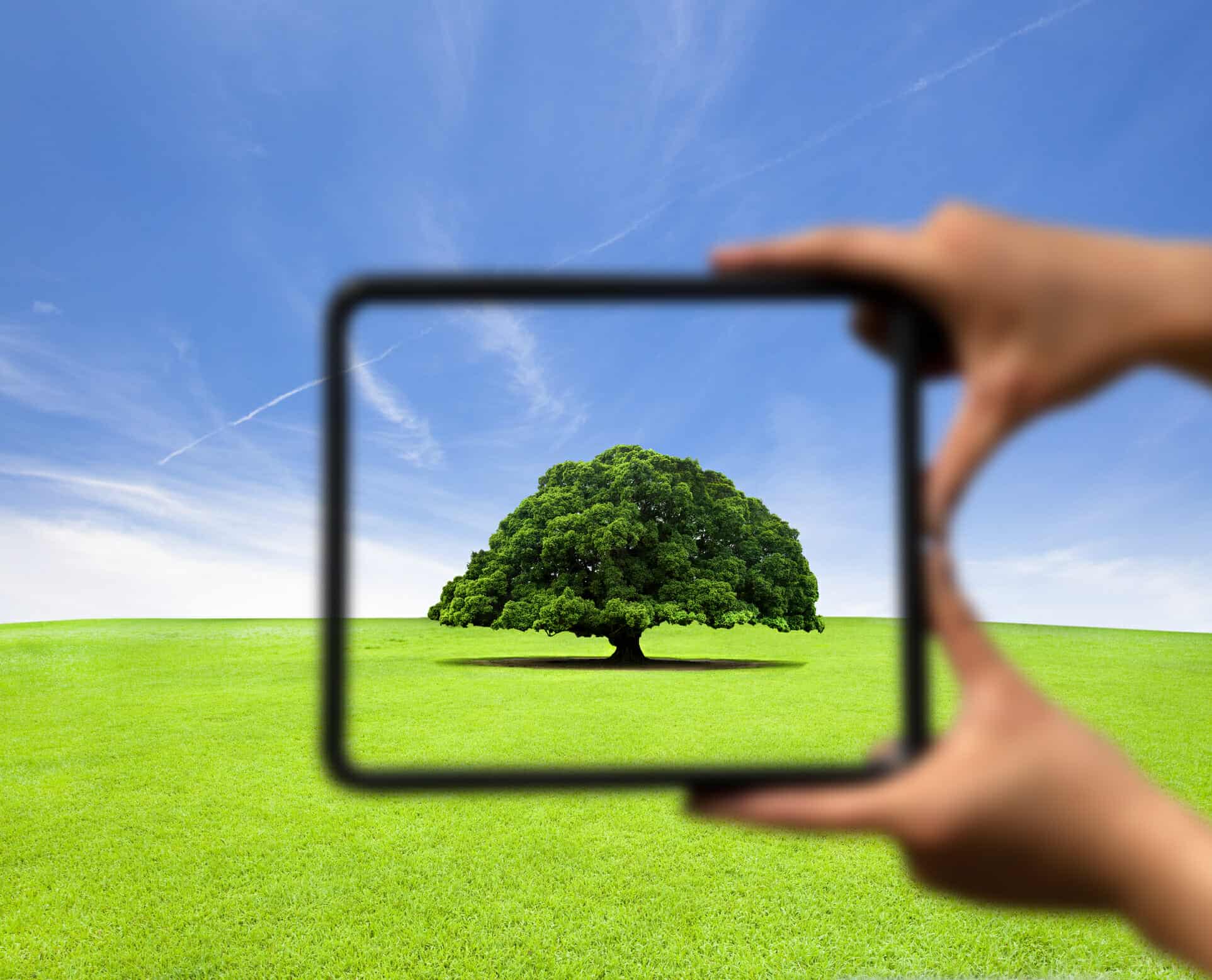 Blurry picture with hands holding a frame. Inside is a clear picture of a tree in focus.