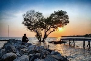 man in frustrated depression sitting alone on the rock dam extended into the sea and looking at tree in the shape of heart on sunset. the concept of lonely sadness depressed and broken heart.