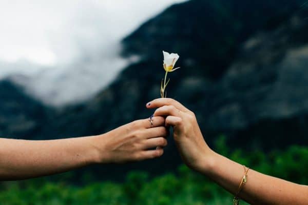 Two people holding a flower, designating getting back together with your ex