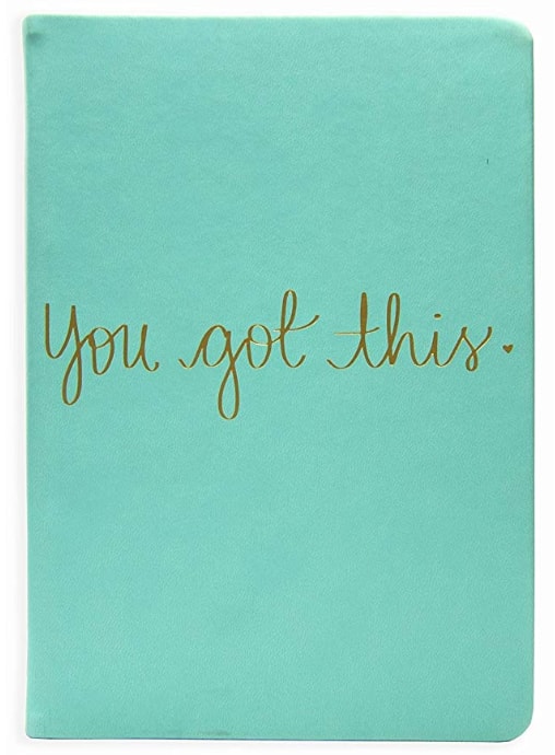 Cover of the "You Got This" journal