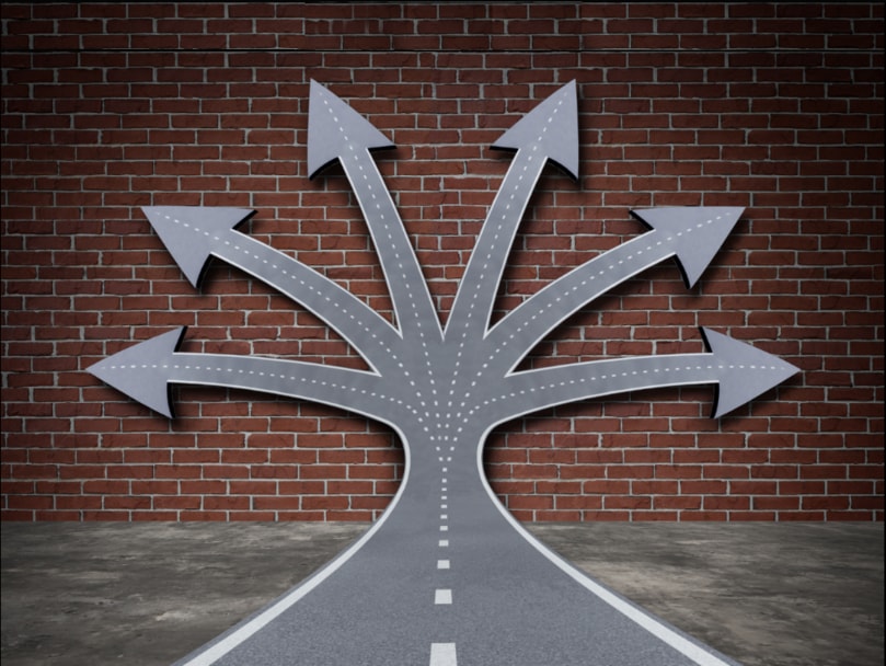 Decision confusion: Road leading to a brick wall and splitting off in multiple directions.