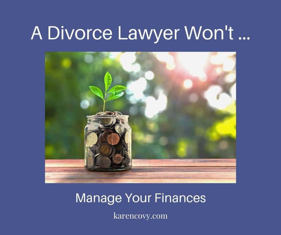 Meme: Picture of a jar with money and a plant growing out of it with the caption, "A Divorce Lawyer Won't Manage Your Finances."