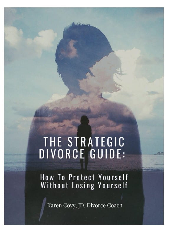Cover of the Strategic Divorce Guide featuring a silhouette of a woman looking out at the ocean.